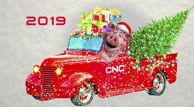 З Новим 2019 роком!